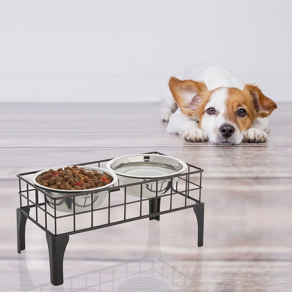 Elevated Dog Bowl Pet Feeding Station with 4 Stainless Steel Bowls