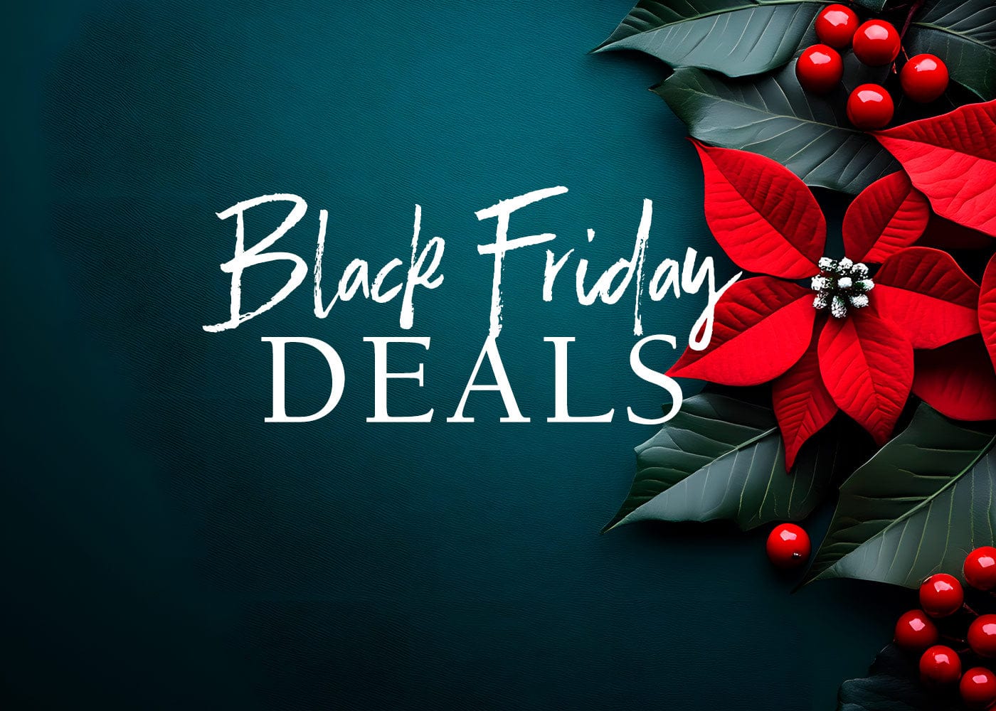 Shop Black Friday Deals