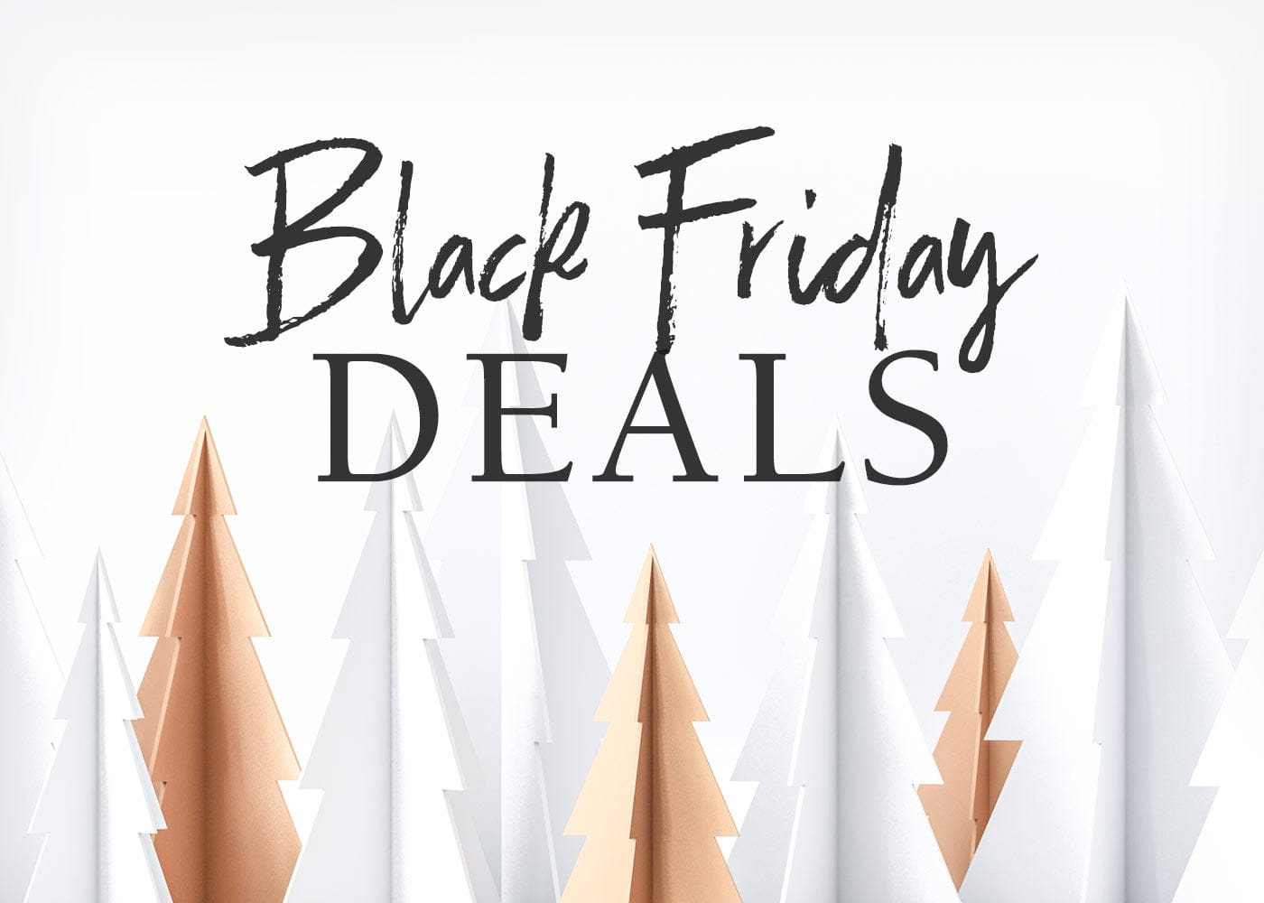 Shop Black Friday Deals