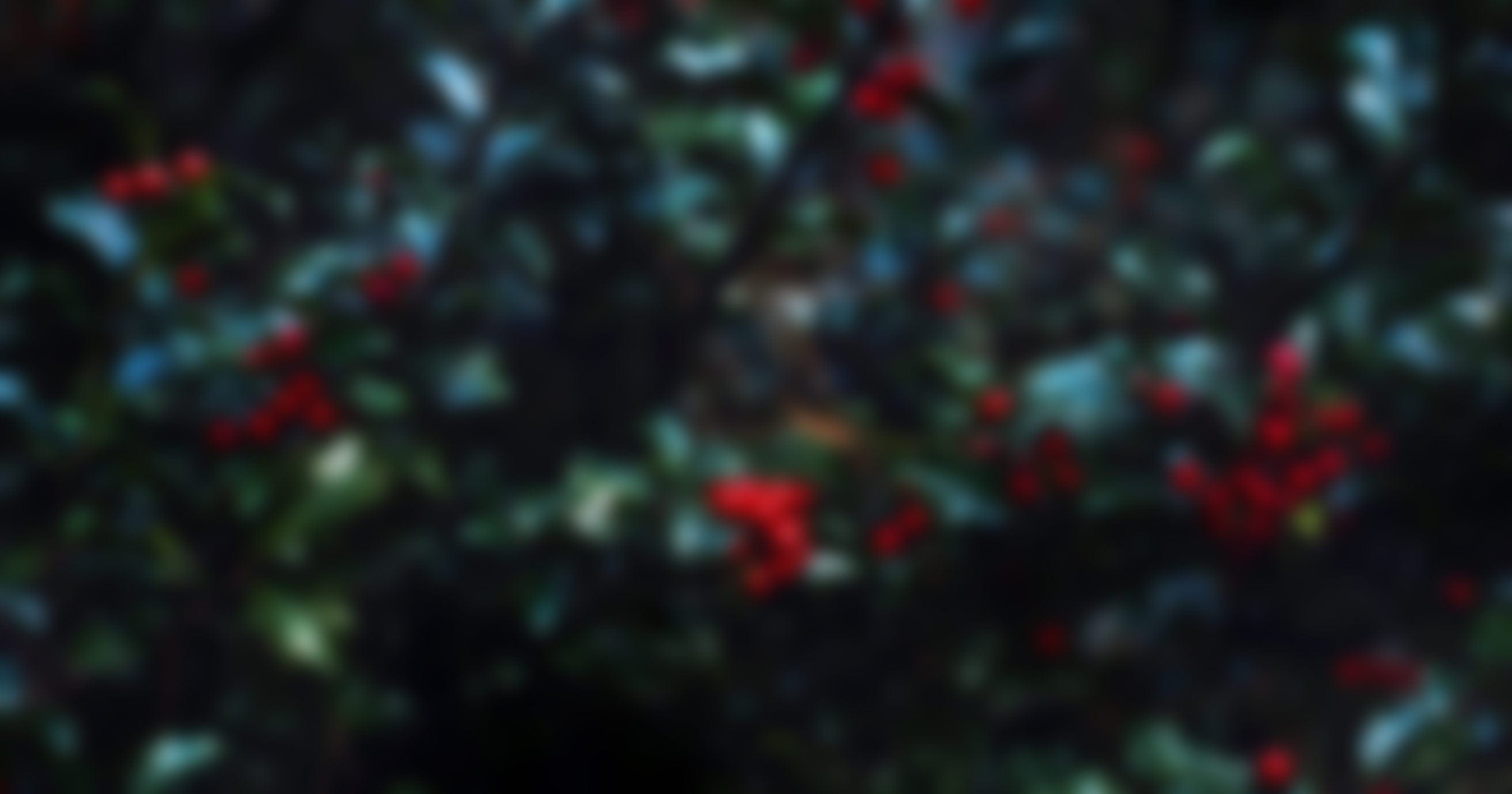 Shop Winterberry® Lowest Prices of the Season